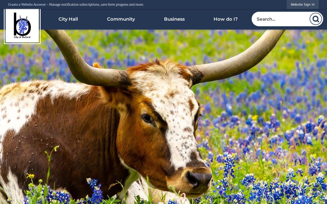 Bullard city website for criminal record and police access